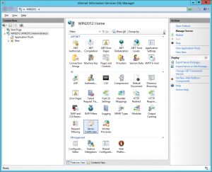 IIS Manager Server Features View