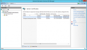 IIS Server Certificate